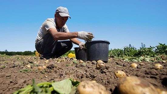 Каждому третьему россиянину приходится выживать, как в 90-х