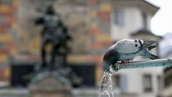 В Италию антициклон «Люцифер» принес 50-градусную жару