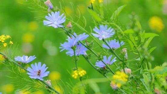 Погода: к середине августа в Украине существенно похолодает