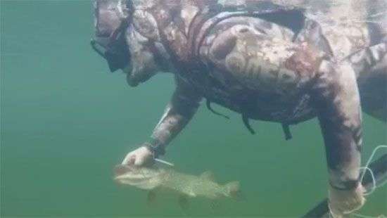 Путина высмеяли за ВИДЕО с его погоней за щукой