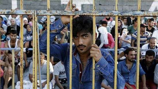 Польша заявила о готовности принимать мигрантов из Европы