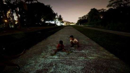 В Сингапуре появилась дорога, светящаяся в ночи (фото)