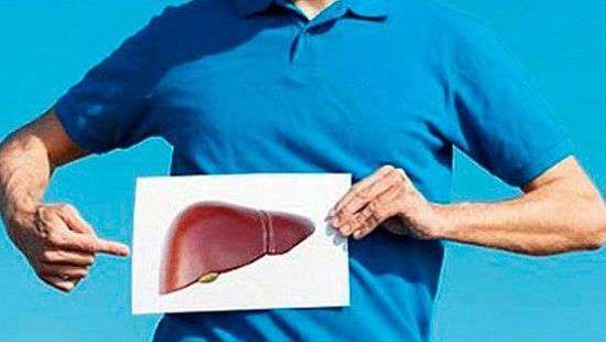 Признаки «перегруженной» печени назвали специалисты