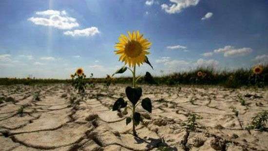 В США чиновникам запретили писать об изменении климата