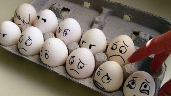 В ЕС продолжается мегаскандал по поводу токсичных яиц