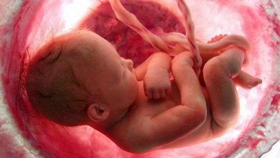 Новая технология оценит здоровье будущего малыша еще до зачатия