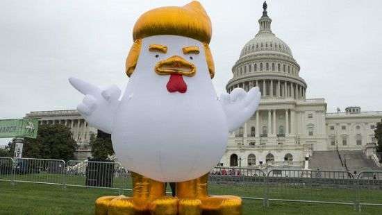 Надувной цыпленок с прической Трампа удивил жителей Вашингтона