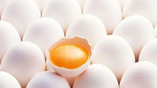 Яичный скандал: в Еврокомиссии хотят созвать Совет ЕС