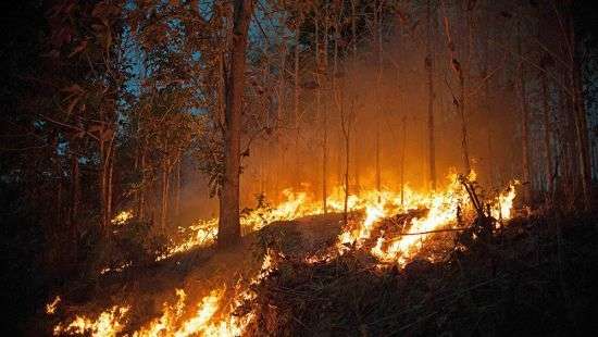 Лесные пожары охватили Грецию, Португалию и Францию