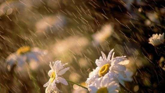 Стало известно, какая погода будет завтра в Украине