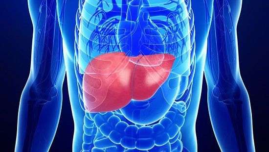 Назван напиток, который защитит от цирроза печени