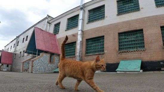 В «ракетном скандале» всплыли интересные подробности о шпионах КНДР