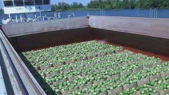 В Херсоне готовят очередную баржу с арбузами для Киева