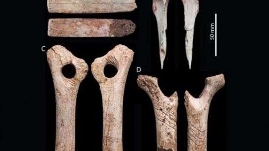 Древние жители Британии оказались каннибалами (ФОТО)