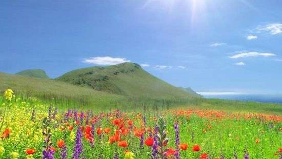 Стало известно, когда в Украину придет прохлада