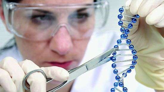 Эксперты составили рейтинг самых главных научных открытий 2017 года