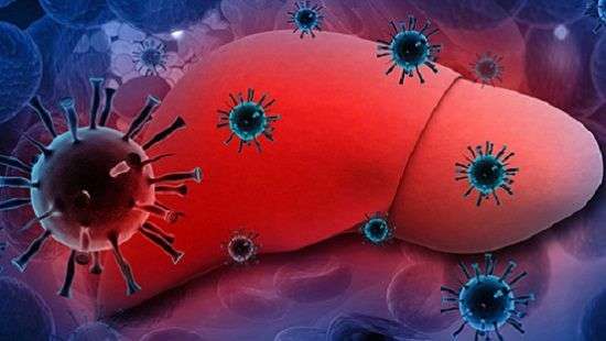 Медики нашли доступный способ спасти печень от действия токсинов