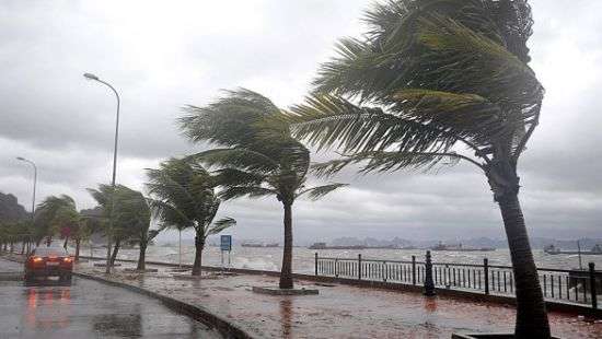 В Гонконге бушует мощный тайфун (видео)
