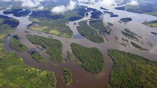 В Бразилии утонула лодка, перевозившая 70 человек: 7 погибших, десятки пропали без вести