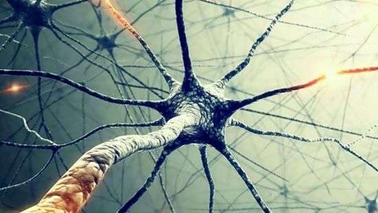 Медики назвали главные причины рассеянного склероза