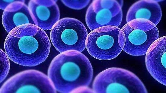 Специалисты узнали простой способ определения продолжительности жизни