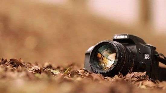 Как я победила закон: американский фотограф показала забавные снимки