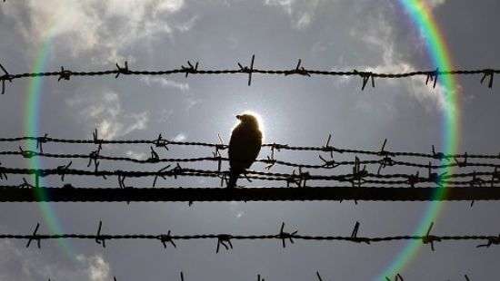 Пенитенциарная система Украина страдает от недофинансирования