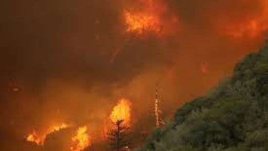 В Лос-Анджелесе из-за лесных пожаров ввели режим ЧП