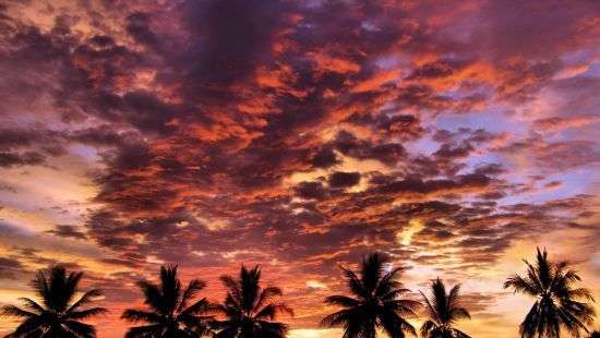 Названы самые популярные на YouTube песни лета 2017 года (видео)