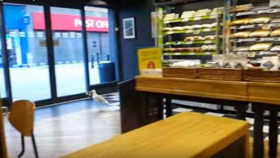 В Англии идеальное ограбление сняли на видео