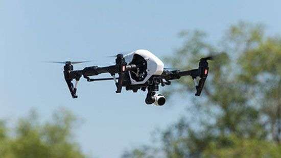 В США приняли смешной закон о доставке марихуаны