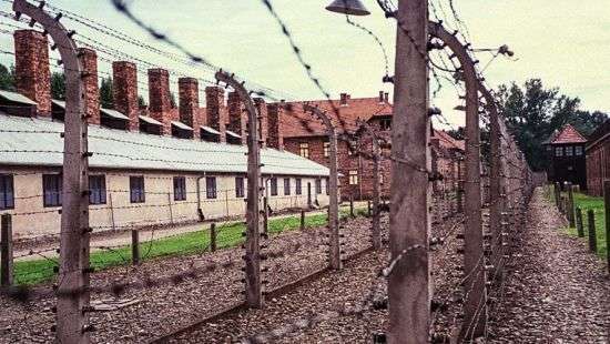 Суд в Германии принял решение по 96-летнему санитару Освенцима