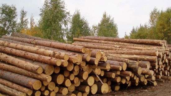 Посол ЕС повторил условие выделения кредита Украине