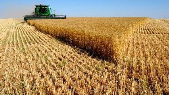 Украинские компании вошли в топ-20 крупнейших агрохолдингов мира