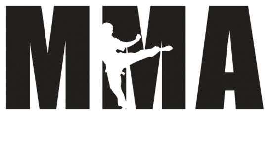 Боец ММА напал на судью