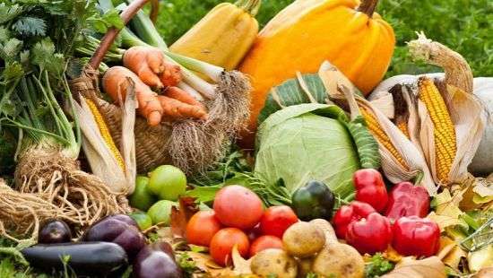 Врачи назвали самые полезные продукты осени