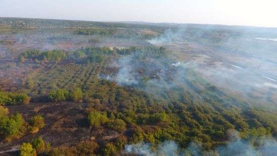 В Черкасской области пятые сутки не могут потушить торфяной пожар