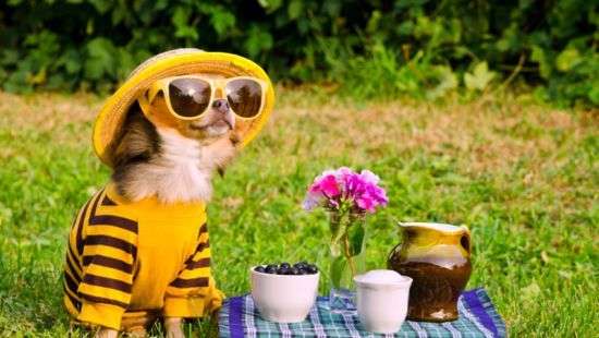 В октябре украинцы будут отдыхать 10 дней