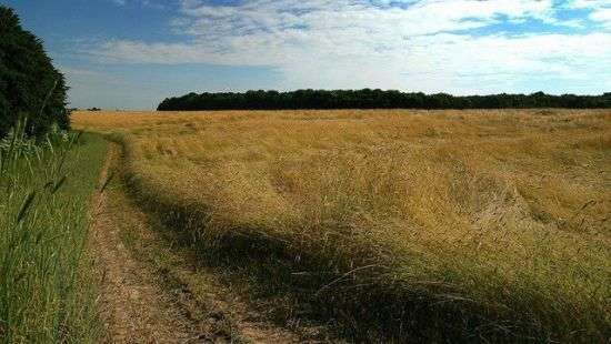 Стало известно, сколько природных богатств приходится на каждого украинца