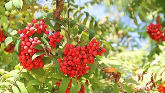 Погода: сегодня в Украине немного потеплеет