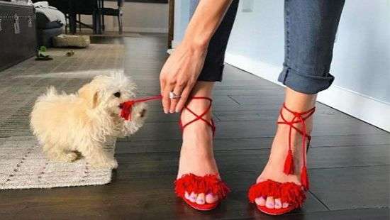 Дочь президента США Иванка Трамп оказалась в центре скандала (ФОТО)