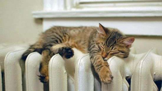 Стало известно о новых принципах расчета субсидии на отопление