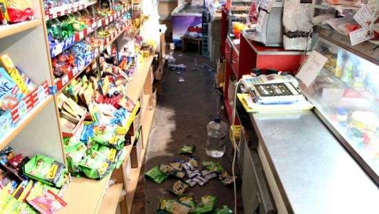 На Буковине два енота учинили погром в продуктовом магазине (фото)