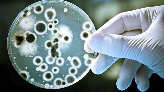 Найден новый способ передачи болезней, о котором наука не знала