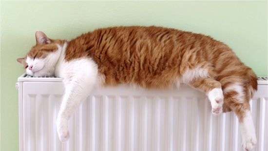 Гройсман рассказал, когда в домах включат отопление