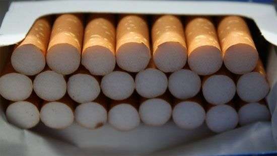 Украинцы в Польше создали подпольную бизнес-империю