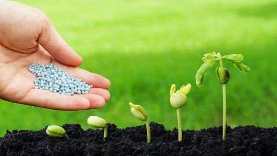 Медики нашли связь пестицидов с опухолями мозга у детей