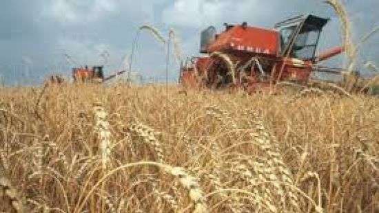 Иран намерен арендовать землю в Украине