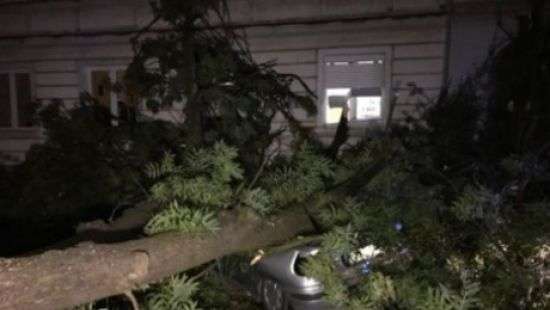 В Польше ураган срывал крыши и валил деревья, есть жертвы