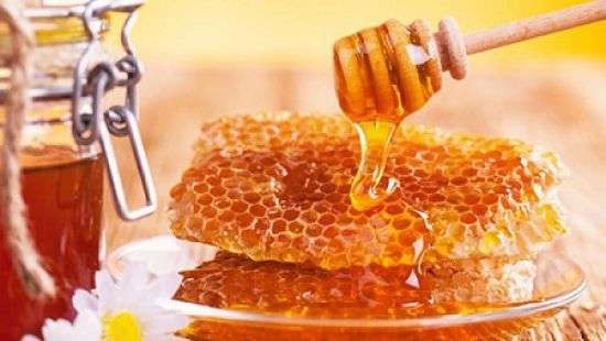 Украина рекордно нарастила экспорт меда